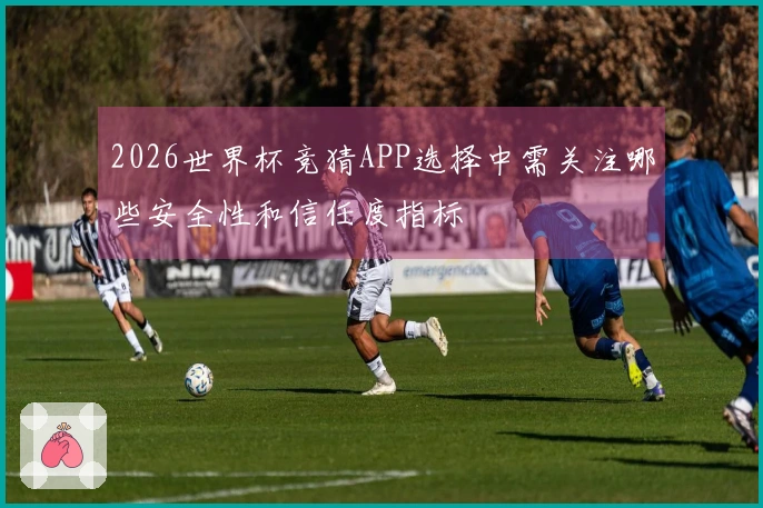 2026世界杯竞猜APP选择中需关注哪些安全性和信任度指标