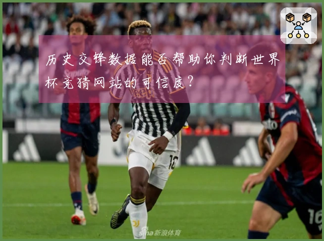 历史交锋数据能否帮助你判断世界杯竞猜网站的可信度?
