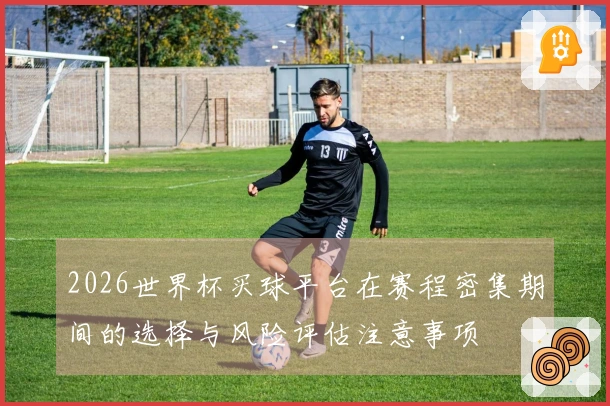 2026世界杯买球平台在赛程密集期间的选择与风险评估注意事项